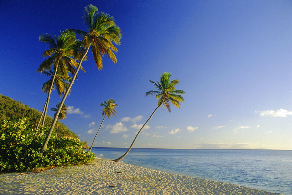 Darkwood Beach, Antigua, Caribbean, West Indies