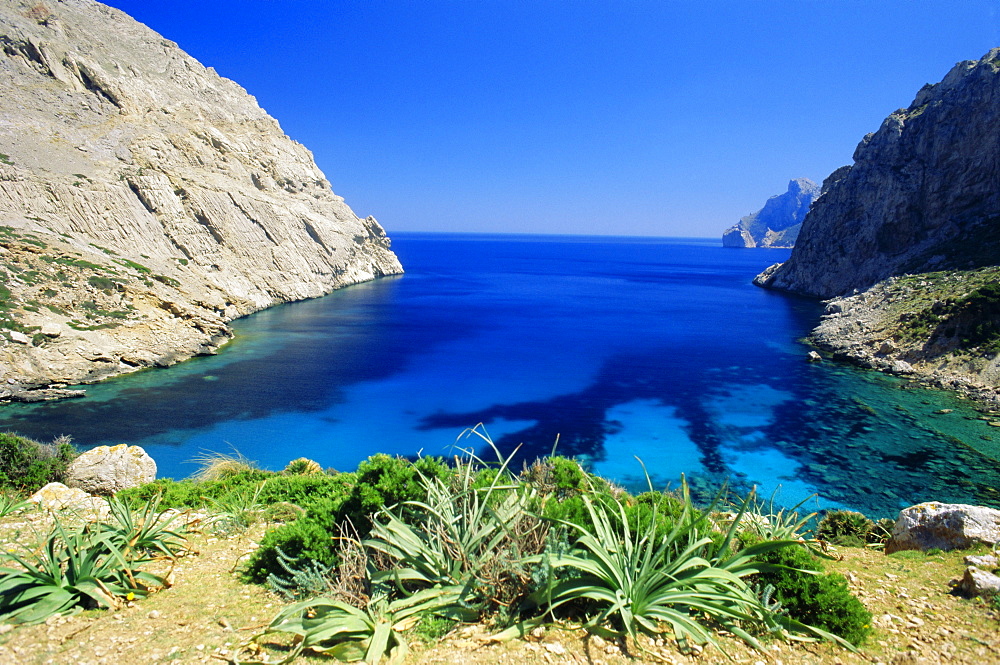 Bay near Puerto Pollensa, Mallorca (Majorca), Balearic Islands, Spain, Europe