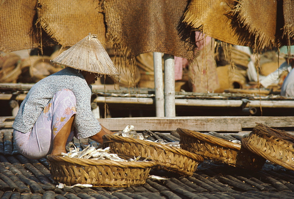 Woman in straw hat drying fish at Trengganu, Malaysia, Southeast Asia, Asia