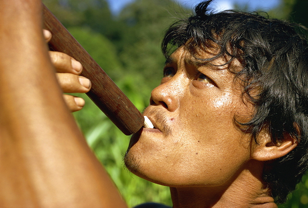 Close-up portrait of a Punan Rasan using a blow gun for hunting, Borneo, Indonesia, Asia