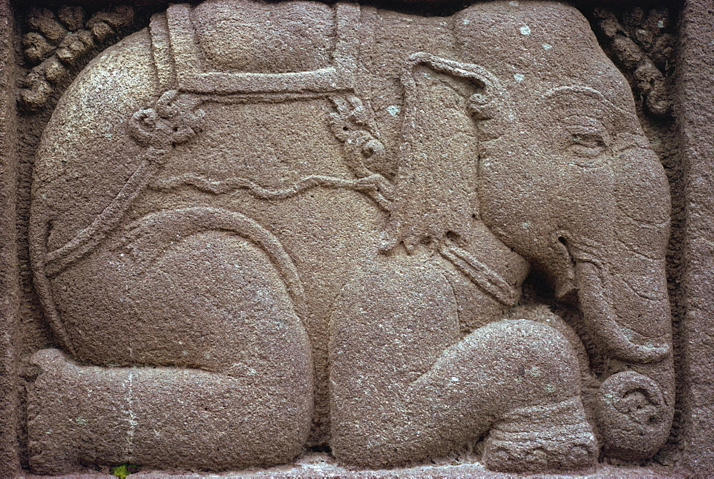 Relief carving of a kneeling elephant on the Hindu temple of Prambanan, UNESCO World Heritage Site, Java, Indonesia, Asia