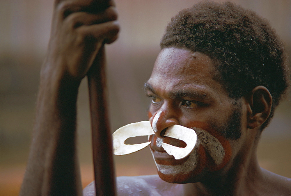 Portrait of a tribesman with large nose ornament, Irian Jaya (West Irian) (Irian Barat), New Guinea, Indonesia, Asia