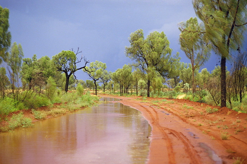 Around Papunya after rain, Northern Territory, Australia, Pacific