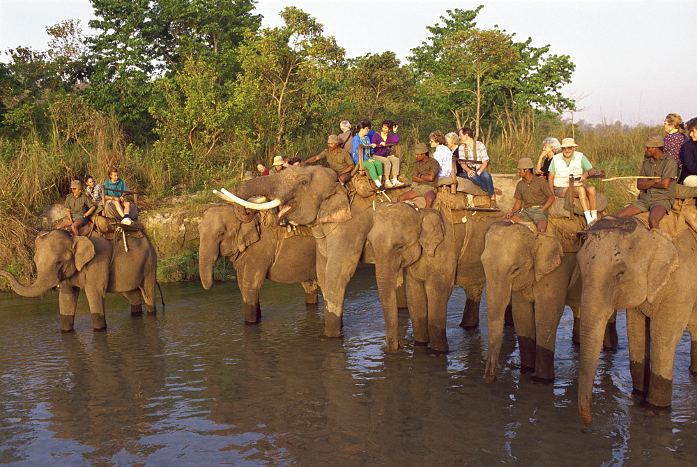 Tourists on elephant back wait while elephants drink in the Chitwan National Park, Nepal, Asia