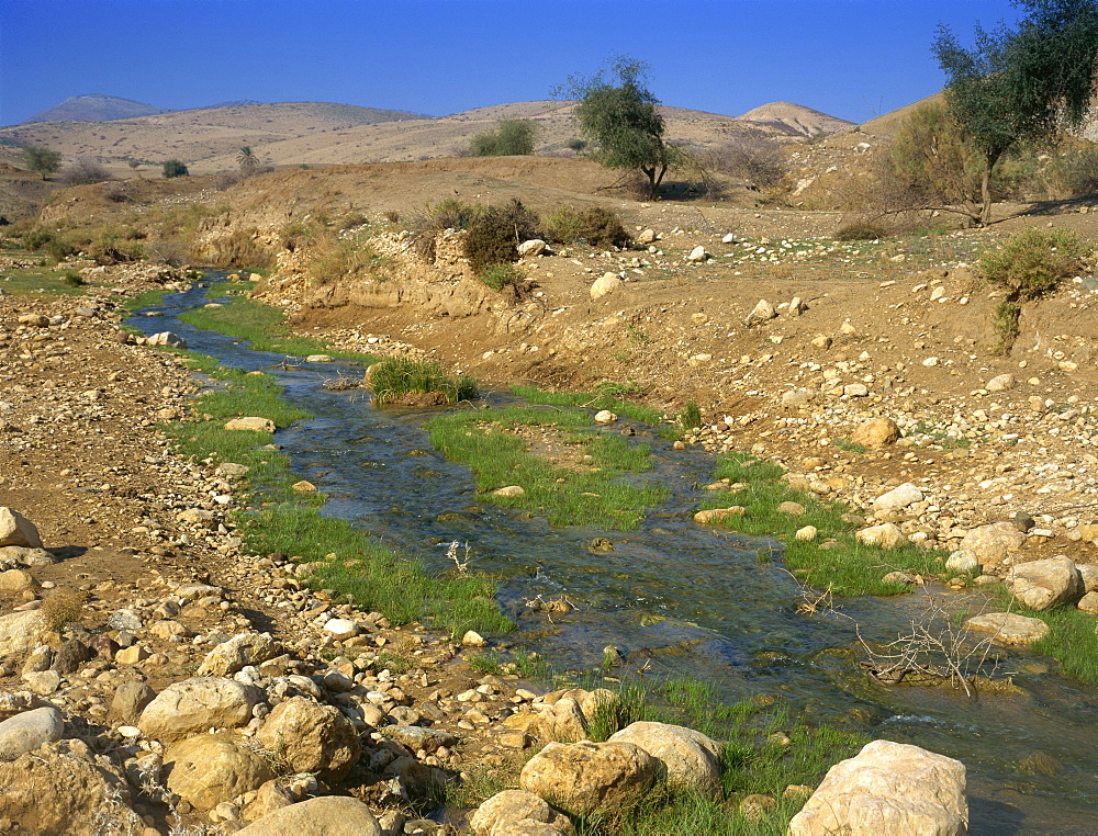 Water stream running through Judean Desert, Israel, Middle East