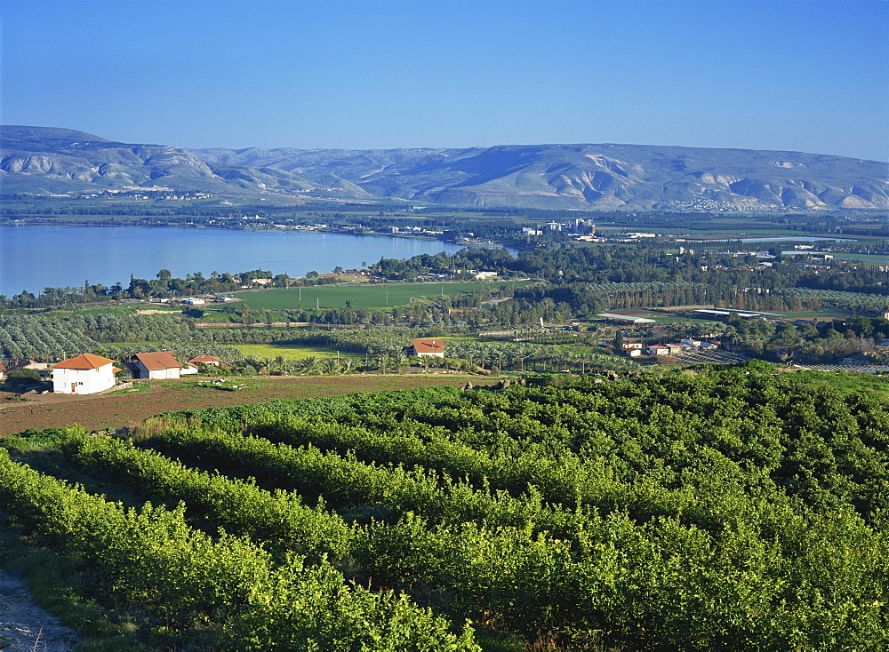 View of the Sea of Galilee, Zemakh area, Israel, Middle East