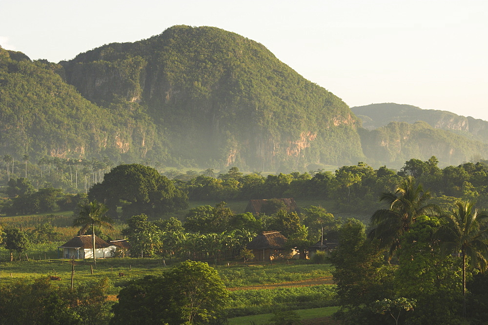 Fertile plain with little farm and typical haystack hills, Vinales, UNESCO World Heritage Site, Pinar del Rio province, Cuba, West Indies, Central America