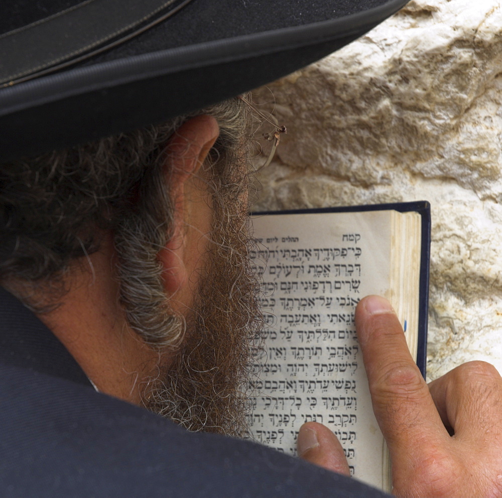 Close up of an Orthodox Jew holding prayer book against the wall and praying, Western Wall, Jerusalem, Israel, Middle East