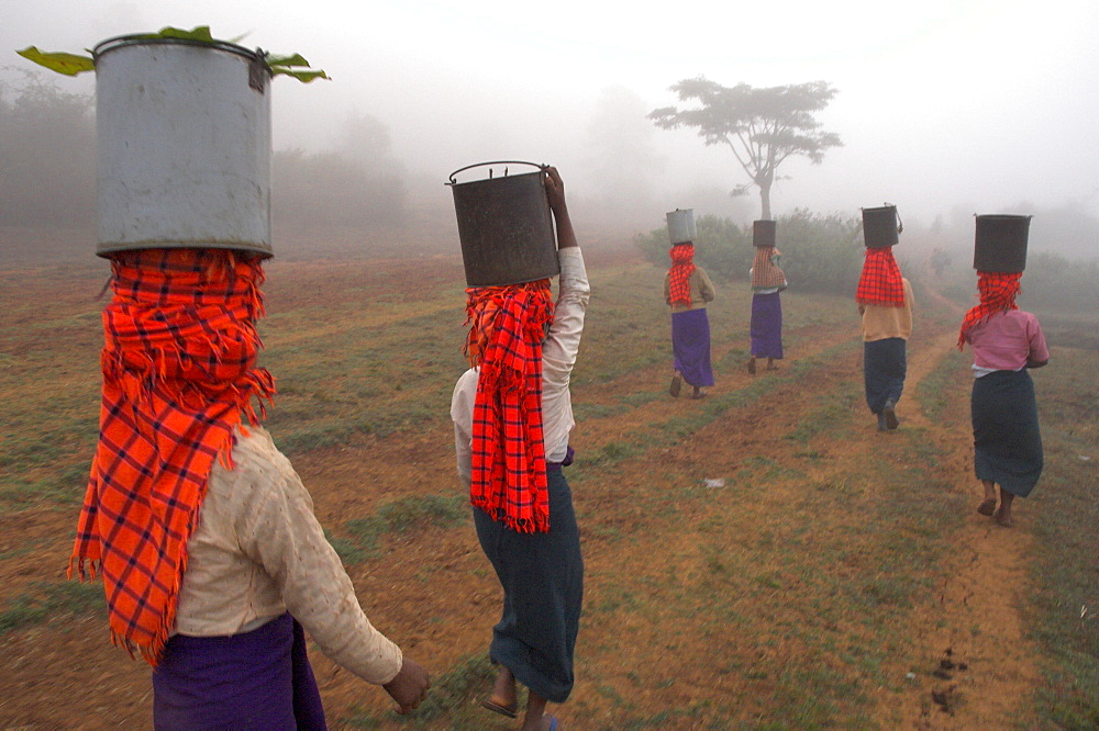 Villagers of the Pah Oh minority, fetching water from a well a mile and a half away, village of Pattap Poap near Inle Lake, Shan State, Myanmar (Burma), Asia