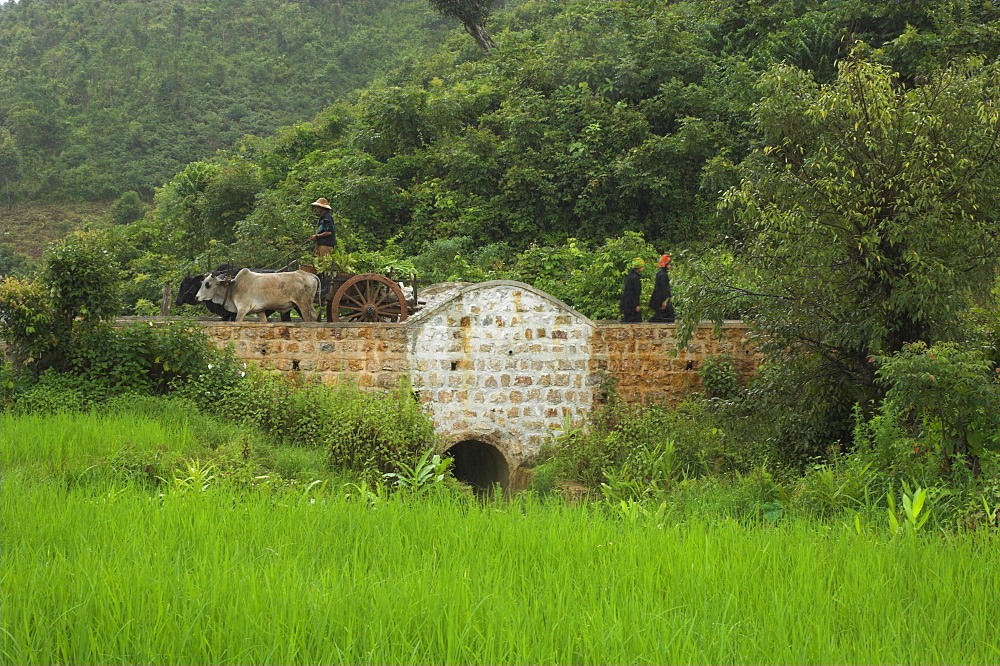 Bridge built by a local NGO, Thit Twin, Shan State, Myanmar (Burma), Asia