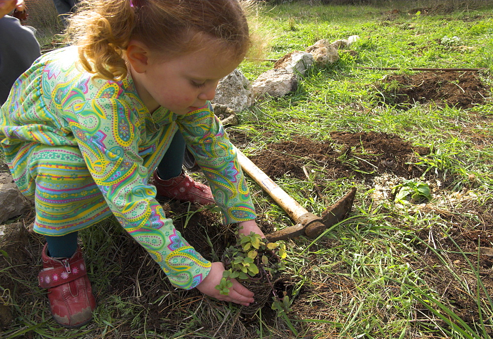 Young girl planting a seedling tree during Tu Bishvat, Jewish Festival of Trees, Museum of Nature, Jerusalem, Israel, Middle East