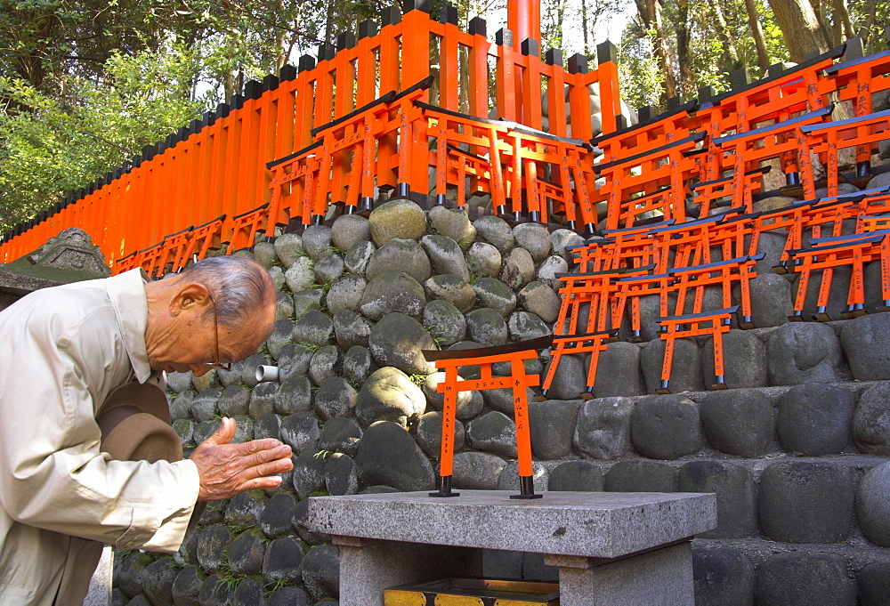 Pilgrim praying at altar with miniature orange toriis in background, Fushimi Inari Taisha shrine, Kyoto, Kansai, Honshu, Japan, Asia