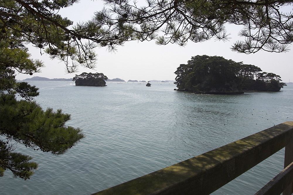 Matsushima Bay, Miyagi ken, Honshu, Japan, Asia 