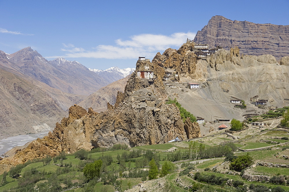 View from afar of Dhankar monastery, with green fields in foreground, and cliff and snowy mountains beyond, Spiti, Himachal Pradesh, India, asia