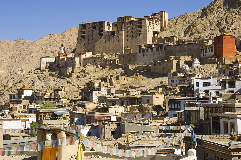 View of the old city with Leh palace in background, Leh, Ladakh, India, Asia