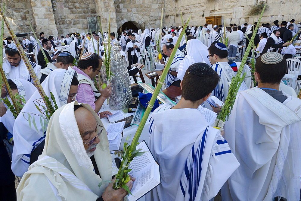 Sukkot celebrations with Lulav, Western Wall, Old City, Jerusalem, Israel, Middle East