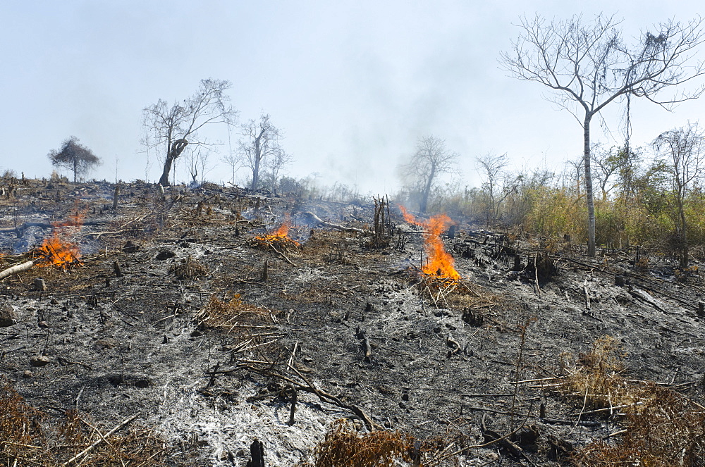 A burnt hill side after deforestation beside road from Pathein to Mawdin Sun, Irrawaddy Delta, Myanmar (Burma), Asia