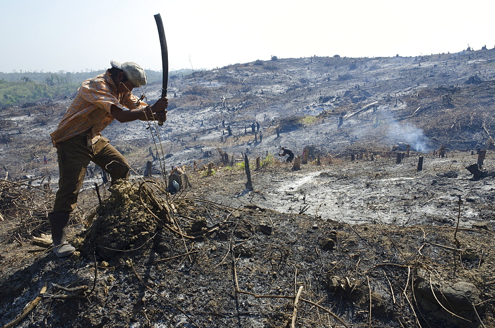 Man slashing vegetation on a burnt hill side after deforestation beside road from Pathein to Mawdin Sun, Irrawaddy Delta, Myanmar (Burma), Asia