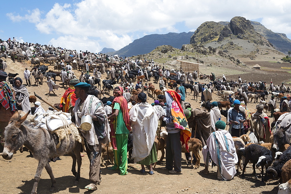 Open market on the treck to Abuna Yosef, Lalibela area, Northern Ethiopia, Africa