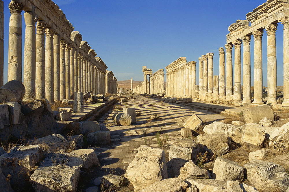 Cardo, Apamea, Syria, Middle East