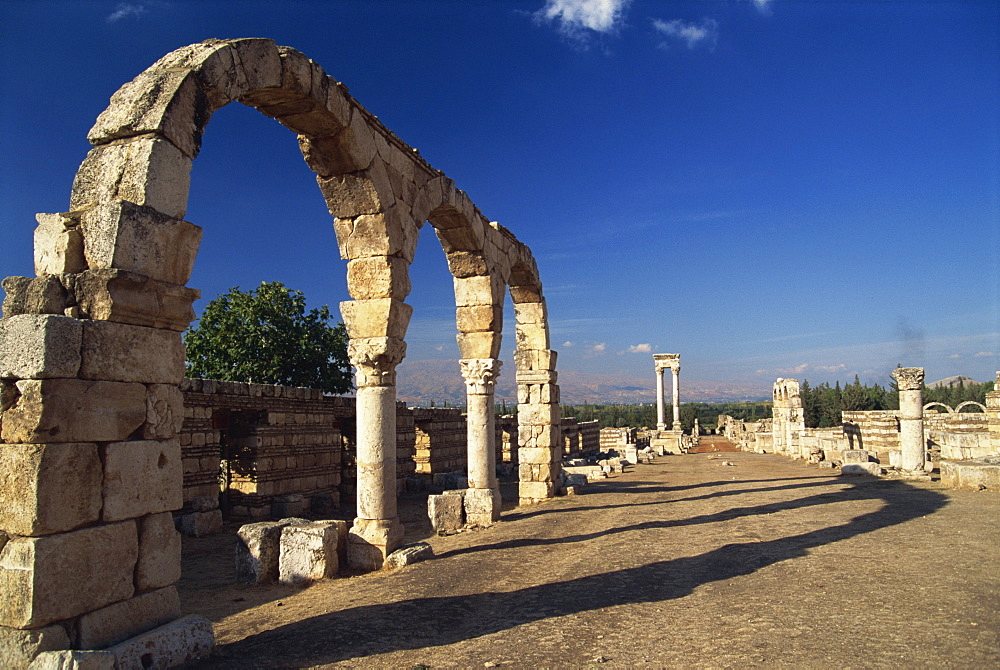 Main street with arcades and tetrastyle, Umayyad Anjar, UNESCO World Heritage Site, Lebanon, Middle East