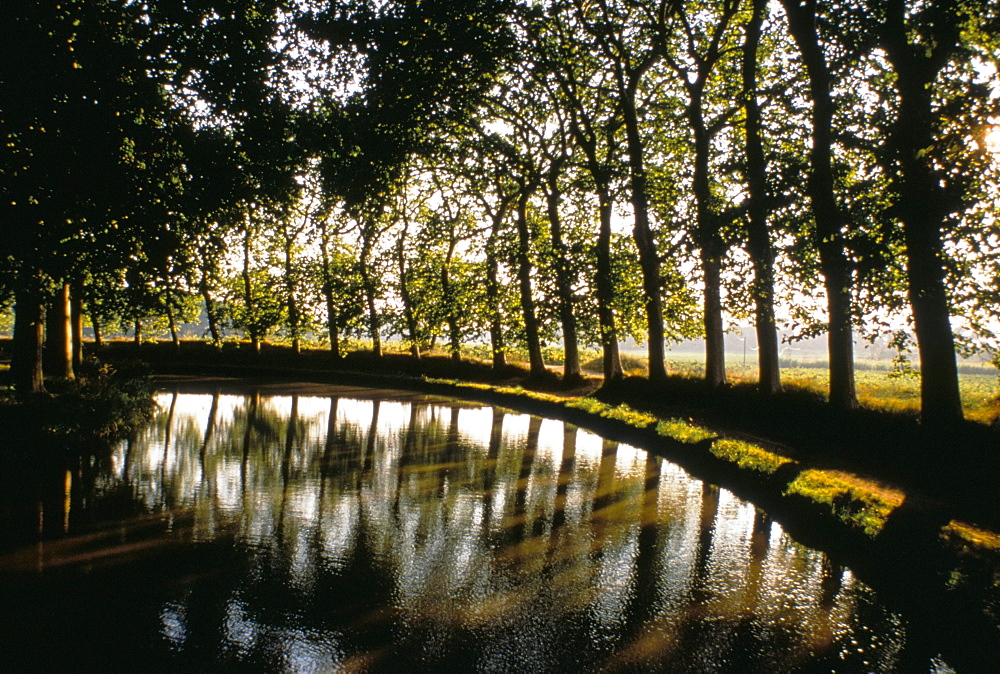 Canal du Midi, Languedoc-Roussillon, France, Europe