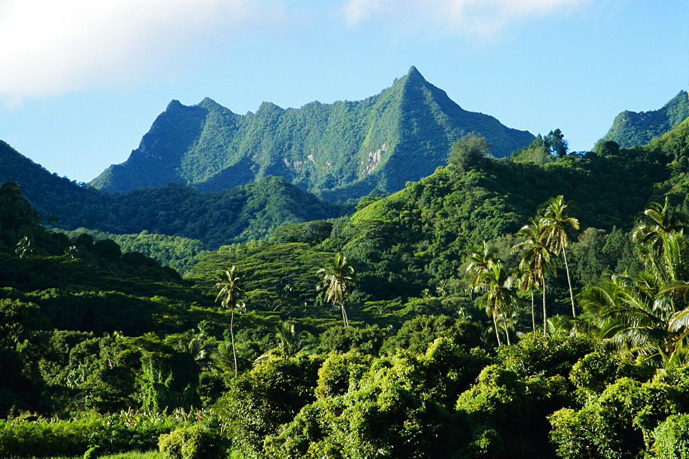 Dense forests and mountain ppeaks, Rarotonga, Cook Islands, Polynesia, South Pacific islands, Pacific