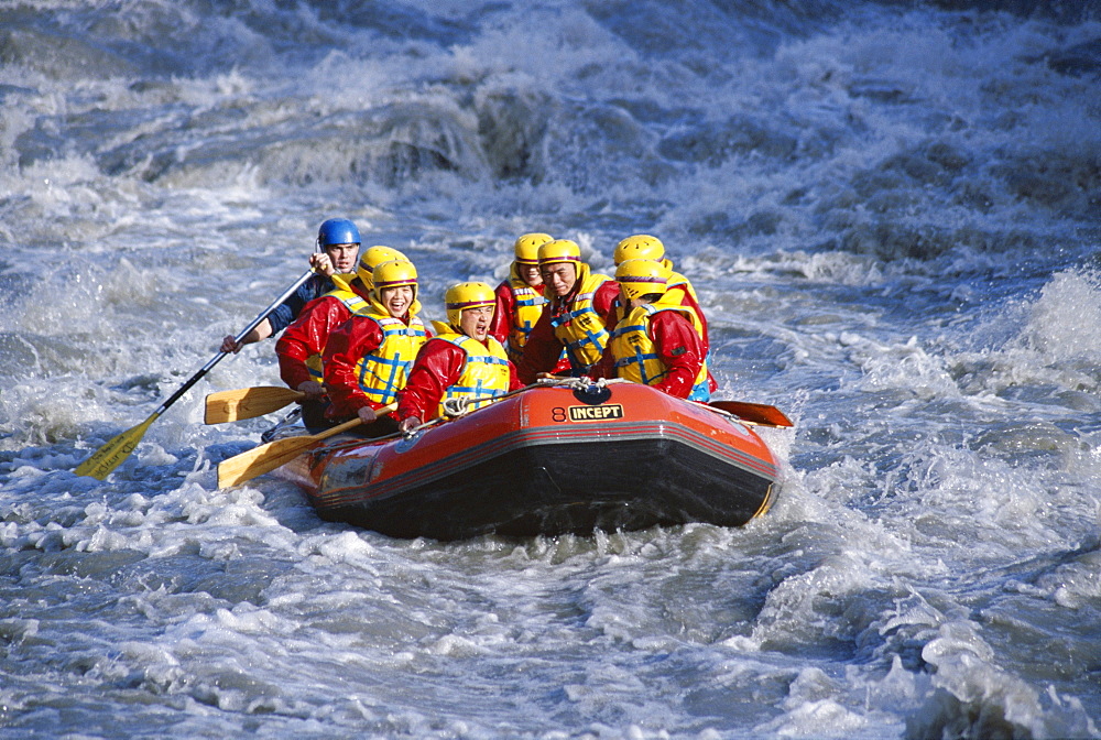 White water rafting, Queenstown, South Island, New Zealand, Pacific