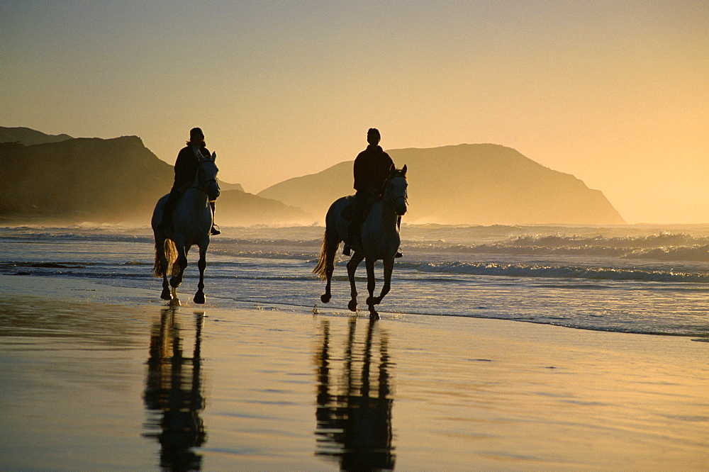 Horse riding on the beach at sunrise, Gisborne, East Coast, North Island, New Zealand, Pacific