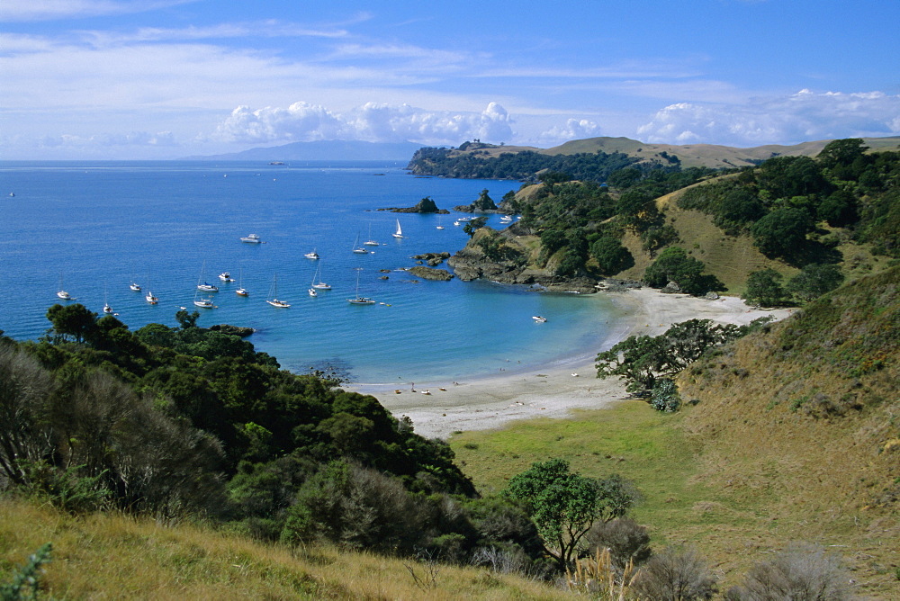 Boats at anchorage, Waiheke Island, Central Auckland, North Island, New Zealand, Pacific