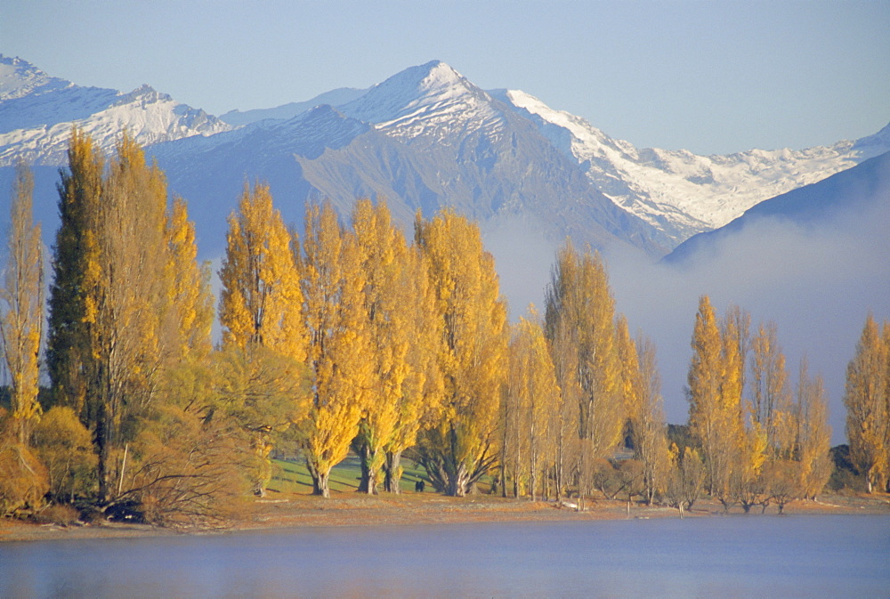 Autumnal trees beside Lake Wanaka, Otago, South Island, New Zealand