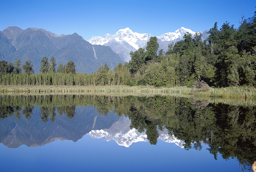 Perfect reflection on Lake Matheson, Fox Glacier, Westland, South Island, New Zealand, Pacific