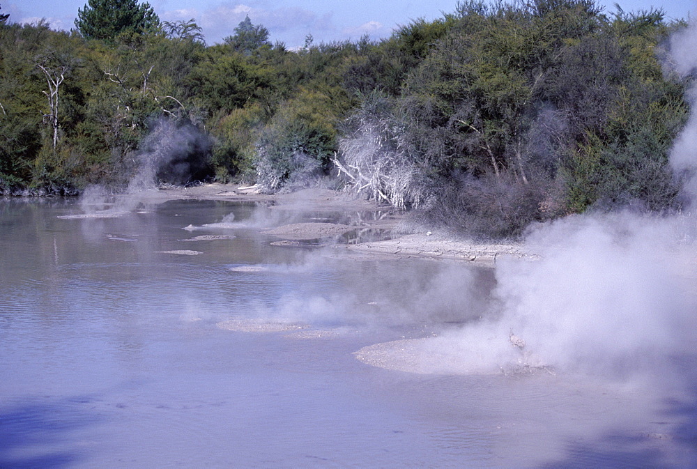 Steam and bubbling mud pools in thermal area, Rotorua, South Auckland, North Island, New Zealand, Pacific