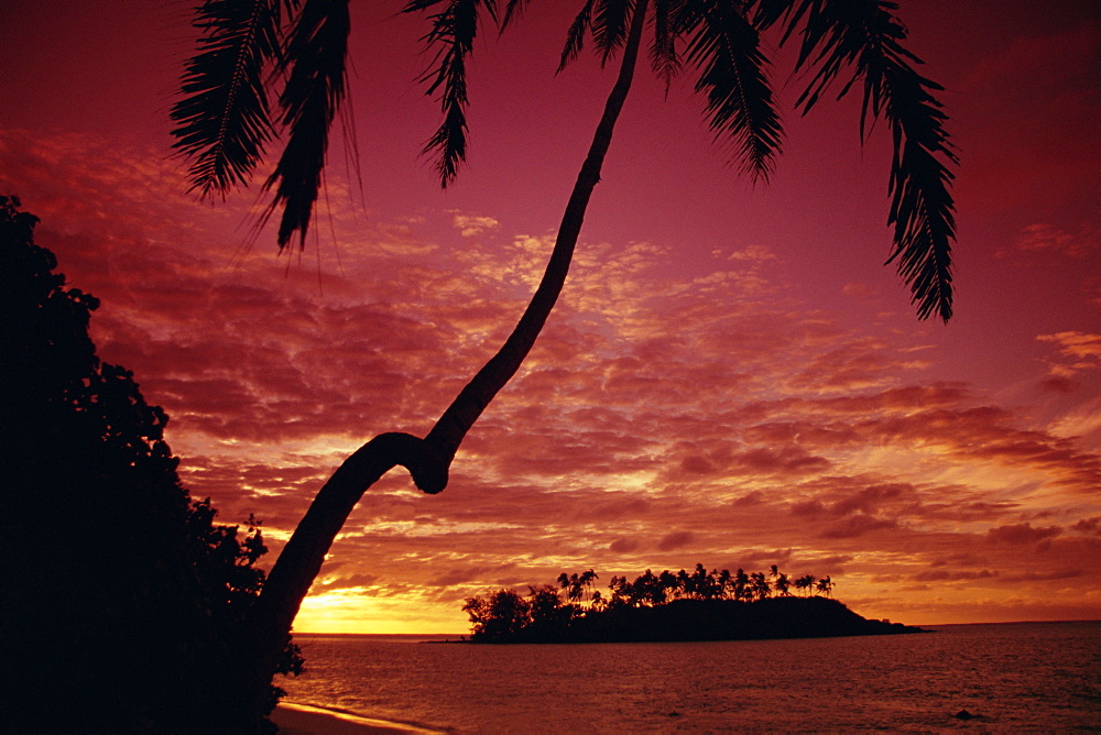 Silhouettes of palm trees and desert island at sunrise, Rarotonga, Cook Islands, South Pacific, Pacific