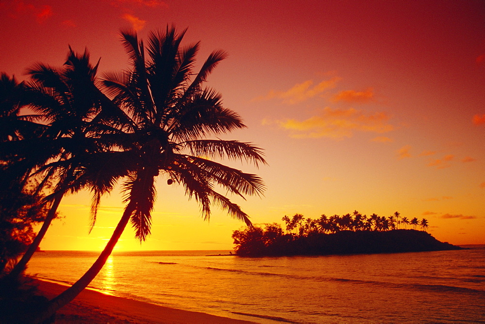 Silhouette of palm trees and desert island at sunrise, Rarotonga, Cook Islands, South Pacific