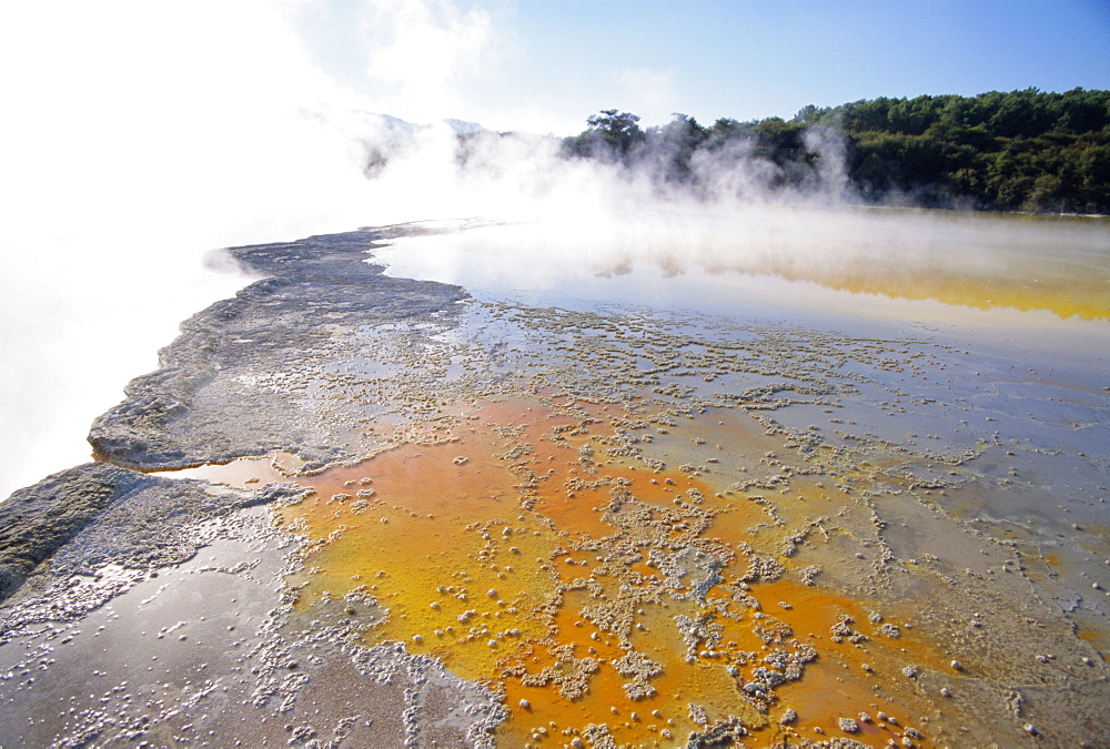 Champagne Pools steaming, Waiotapu thermal reserves, Rotorua, North Island, New Zealand