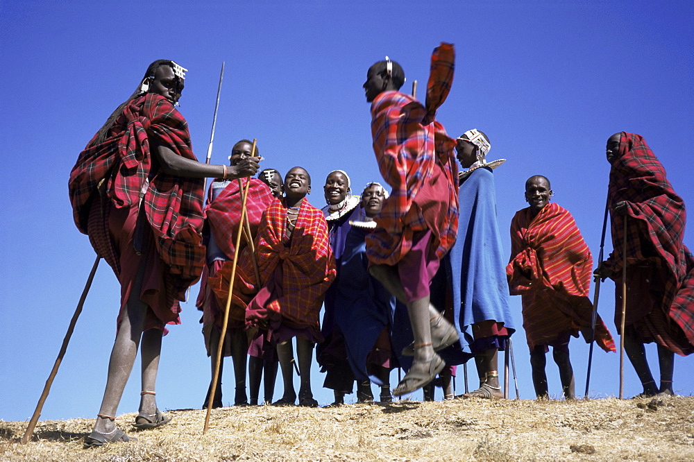 Masai warriors performing jumping dance, Serengeti Park, Tanzania, East Africa, Africa