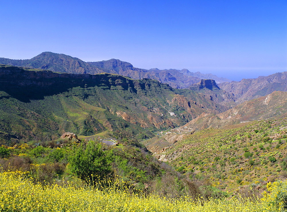 Barranco del Chorillo, Toque Bentaiga, Tejeda, Gran Canaria, Canary Islands, SpainALPHA