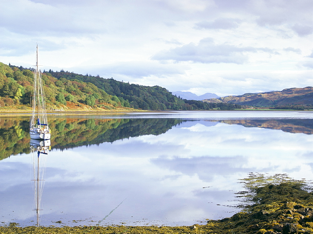 Yacht on Loch Feochan in autumn, Argyll and Bute, Scotland, United Kingdom, Europe