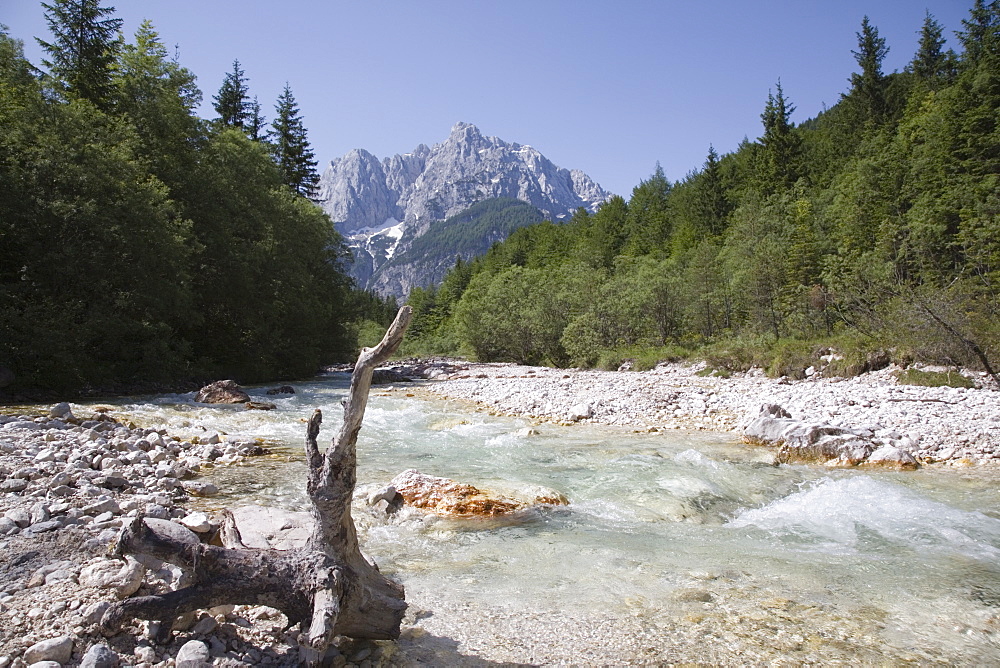 View along stony shallow River Velika Pisnca with crystal clear water to Prisank mountain, Triglav National Park, Julian Alps, Kranjska Gora, Dolina, Slovenia, Europe