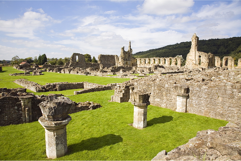 Ruins of the 12th century Cistercian Byland Abbey, destroyed by Scottish army in Battle of Byland 1322, when Edward ll was defeated, Coxwold, North York Moors National Park, Yorkshire, England, United Kingdom, Europe