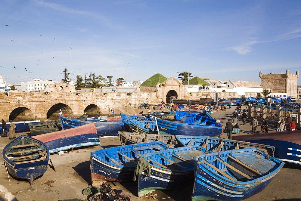 Blue boats in fishing port outside fortified town walls on west coast, Essaouira, Morocco, North Africa, Africa