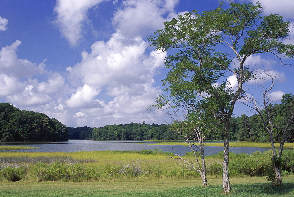 Indian Field Creek, on Colonial Highway, near Williamsburg, Virginia, United States of America (U.S.A.), North America