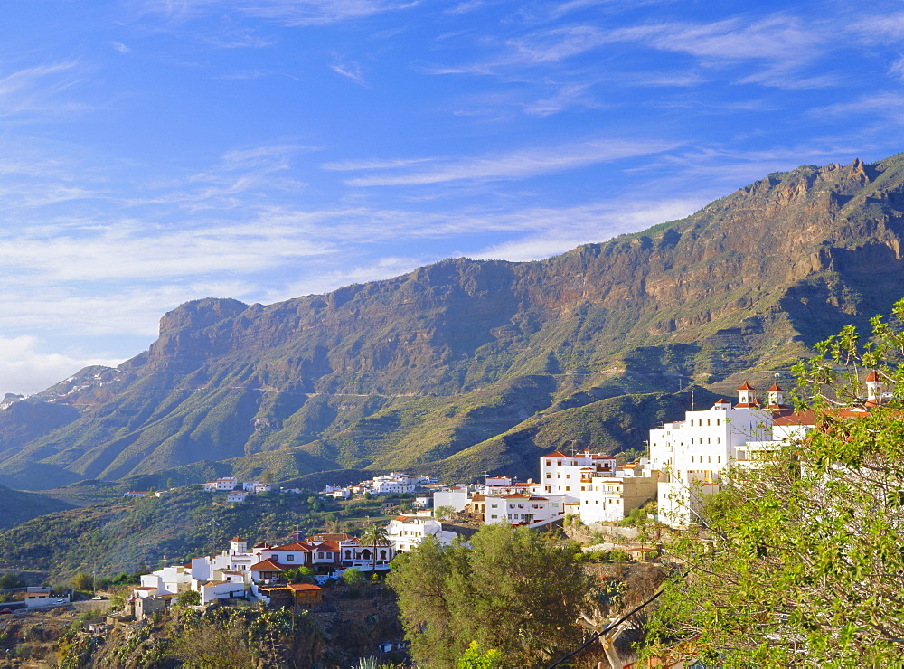 1010m high in the Barranco de Tejaia,  Gran Canaria, Canary Islands, SpainALPHA