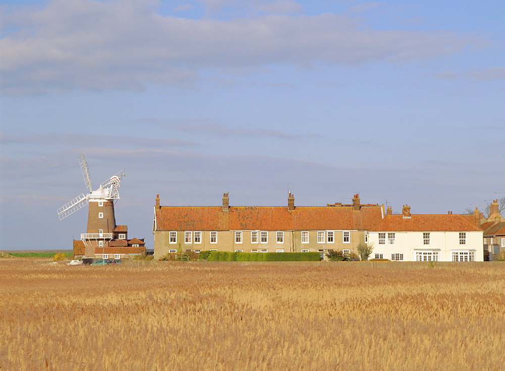 Reedbeds and Cley windmill, 18th century tower windmill on old quay, Cley-next-the-Sea, Norfolk, England, UK, Europe