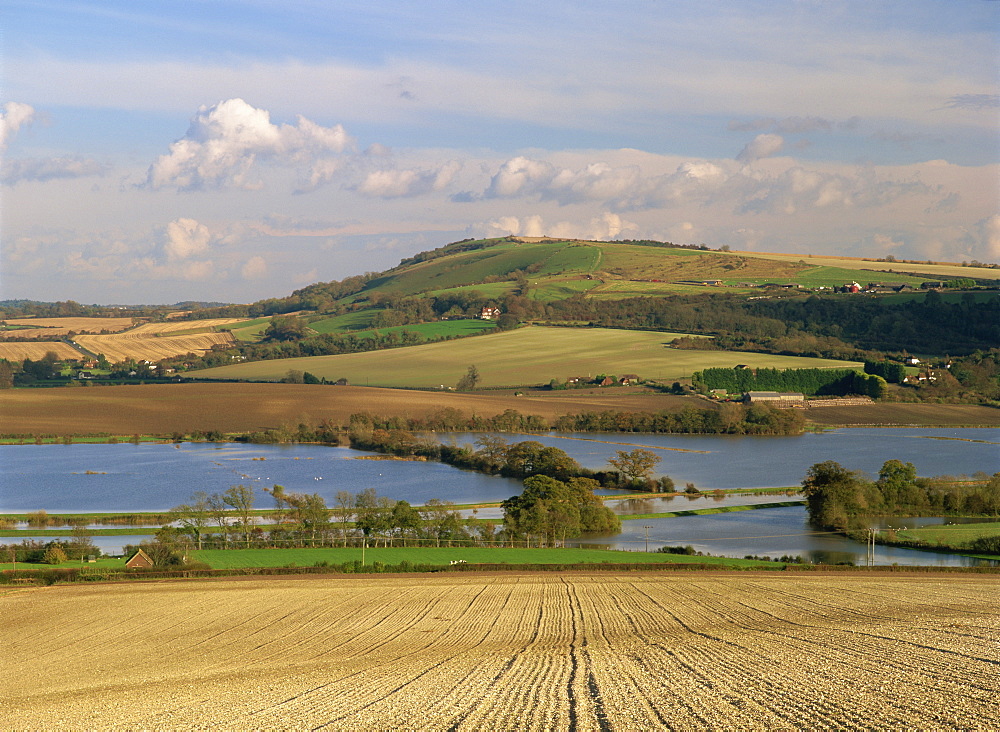 Arun Valley in food, with South Downs beyond, Bury, Sussex, England, United Kingdom, Europe