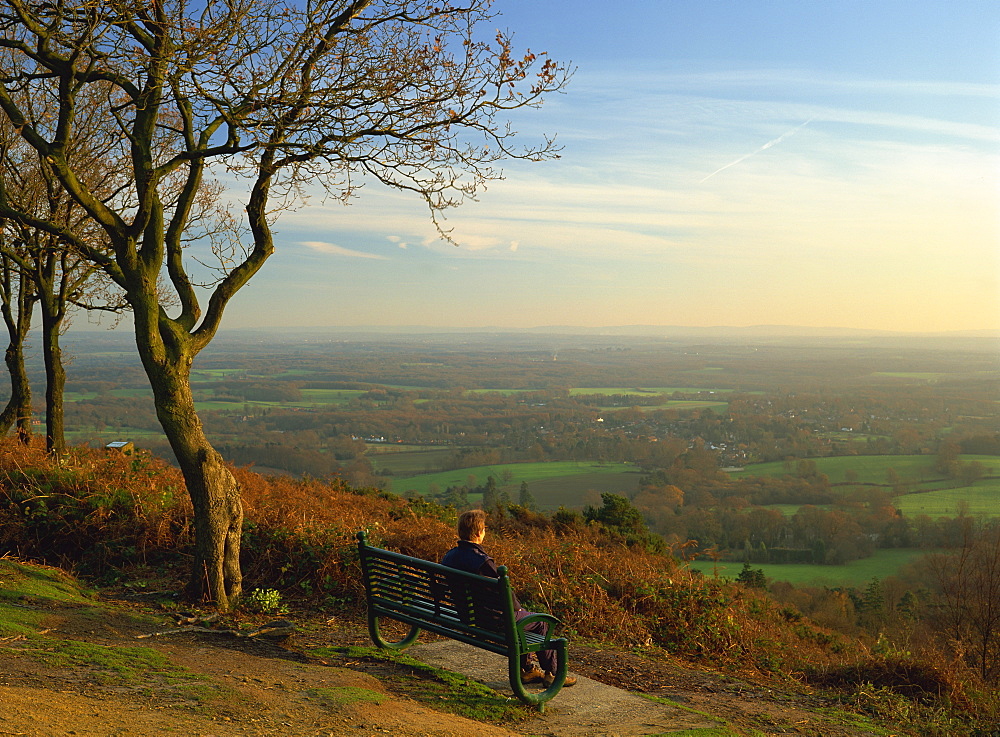 Person looking across the Weald with a view for 25 miles to the South Downs from the Greensand Ridge, Pitch Hill, Ewhurst, Surrey, England, United Kingdom, Europe