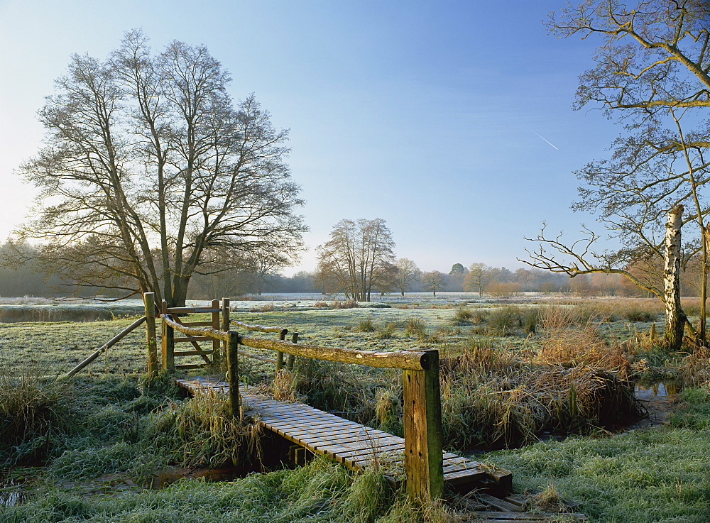 Frost at Thundery Meadows where River Wey runs through the Surrey Wildlife Trusts wetland reserve, Elstead, Surrey, England, United Kingdom, Europe