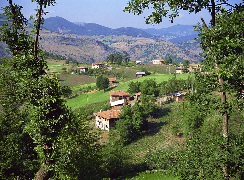 Landscape in the Canik Hills, Black Sea coast area, Anatolia, Turkey, Asia Minor, Eurasia