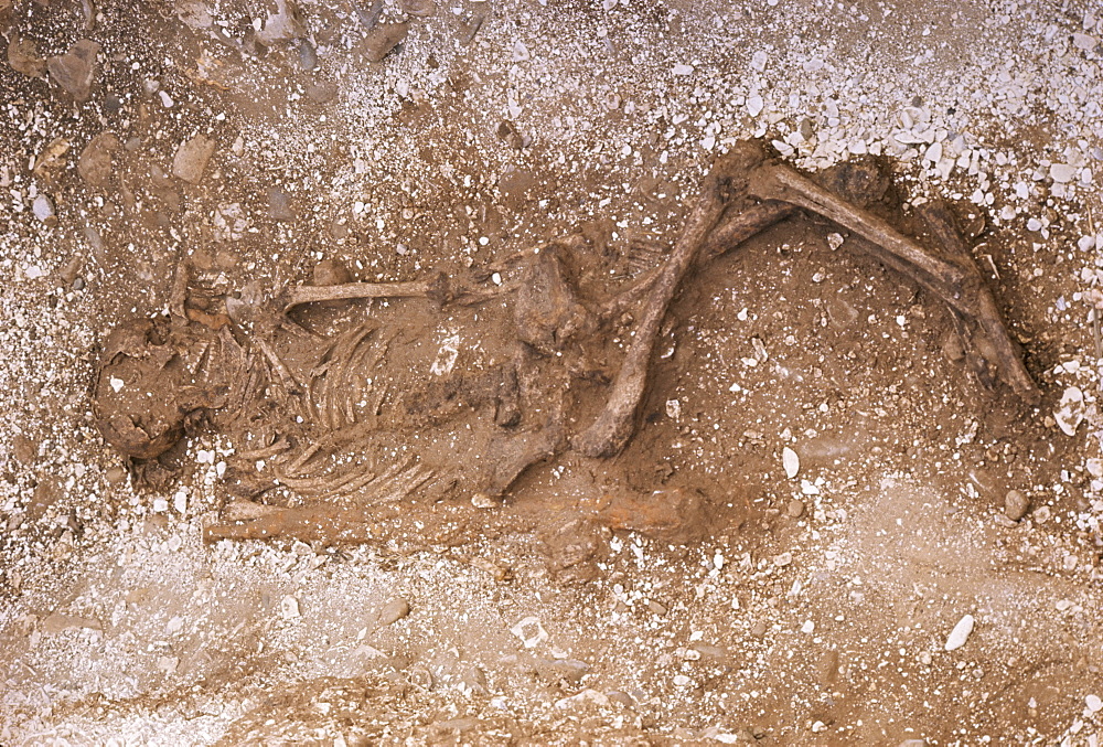 Remains of an Iron Age woman, excavated in 1976 near Rudston, East Yorkshire, Yorkshire, England, United Kingdom, Europe